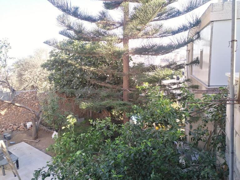 Aman Hostel Βηθλεέμ Εξωτερικό φωτογραφία